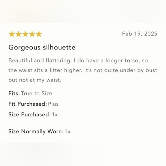 NWT Size XSP - Anthropologie  Somerset Maxi Dress: Halter Edition (NWT US$198) - Picture 9 of 14